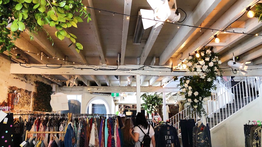 Sustainable Sundays With Elysian&nbsp;Haze